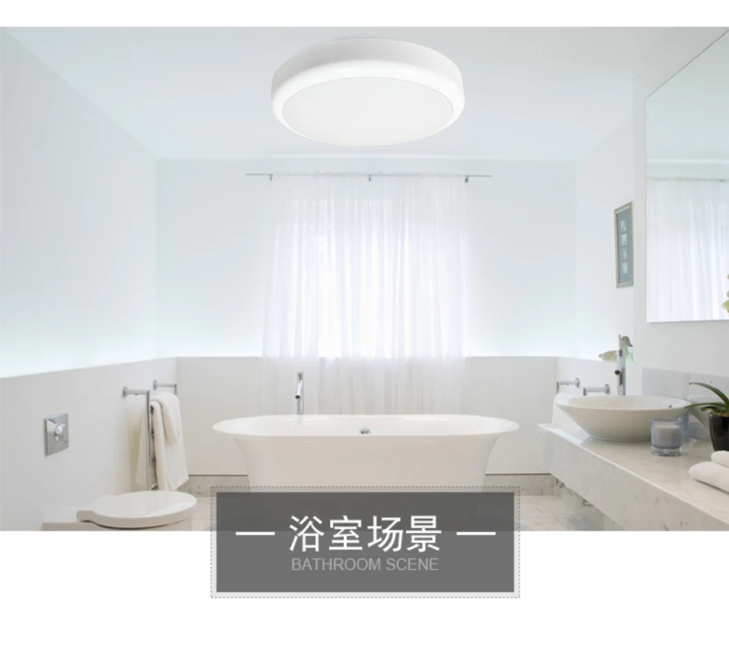 IP65 Ultra Slim LED Bulkhead with Emergency Device