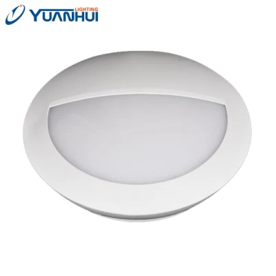 Luz de emergencia de seguridad personalizable Yc01 Lámpara de techo LED en China