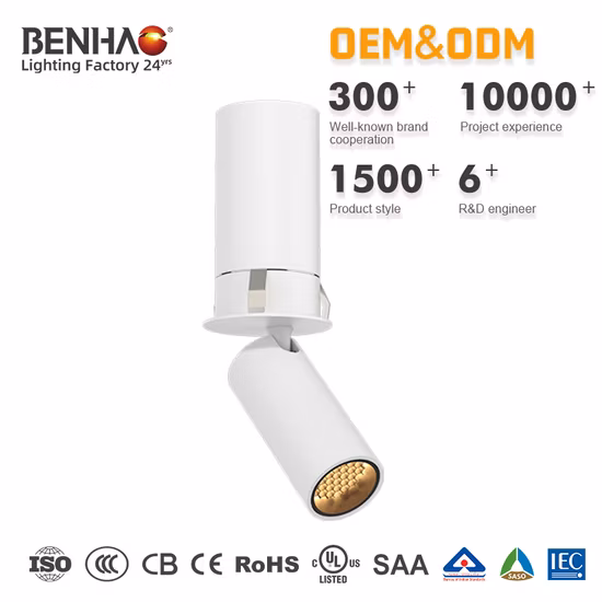Super Skylite Drop Lights Luces LED plateadas para candelabros de vidrio de techo alto Luz de techo de cristal moderna LED